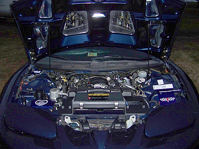 ws6 trans am dress up kit