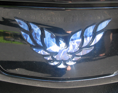 firebird trans am blue flame bird overlay